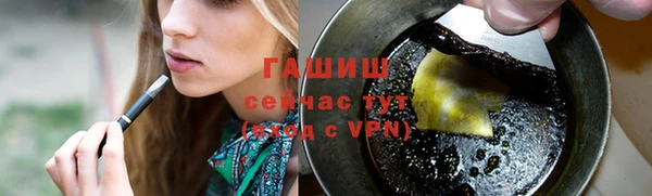 гашик Алексеевка