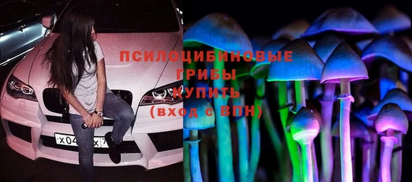 гашик Алексеевка
