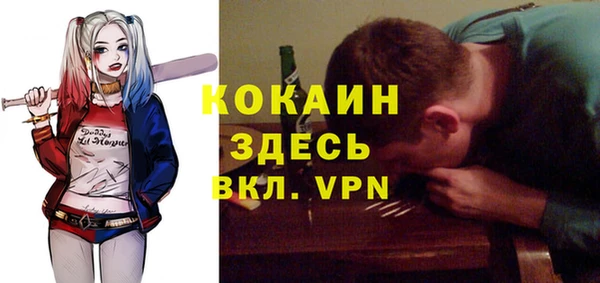 гашик Алексеевка