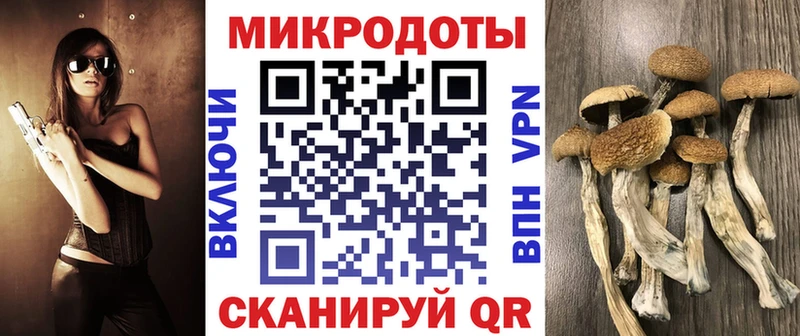 цены   Дудинка  Галлюциногенные грибы Magic Shrooms 